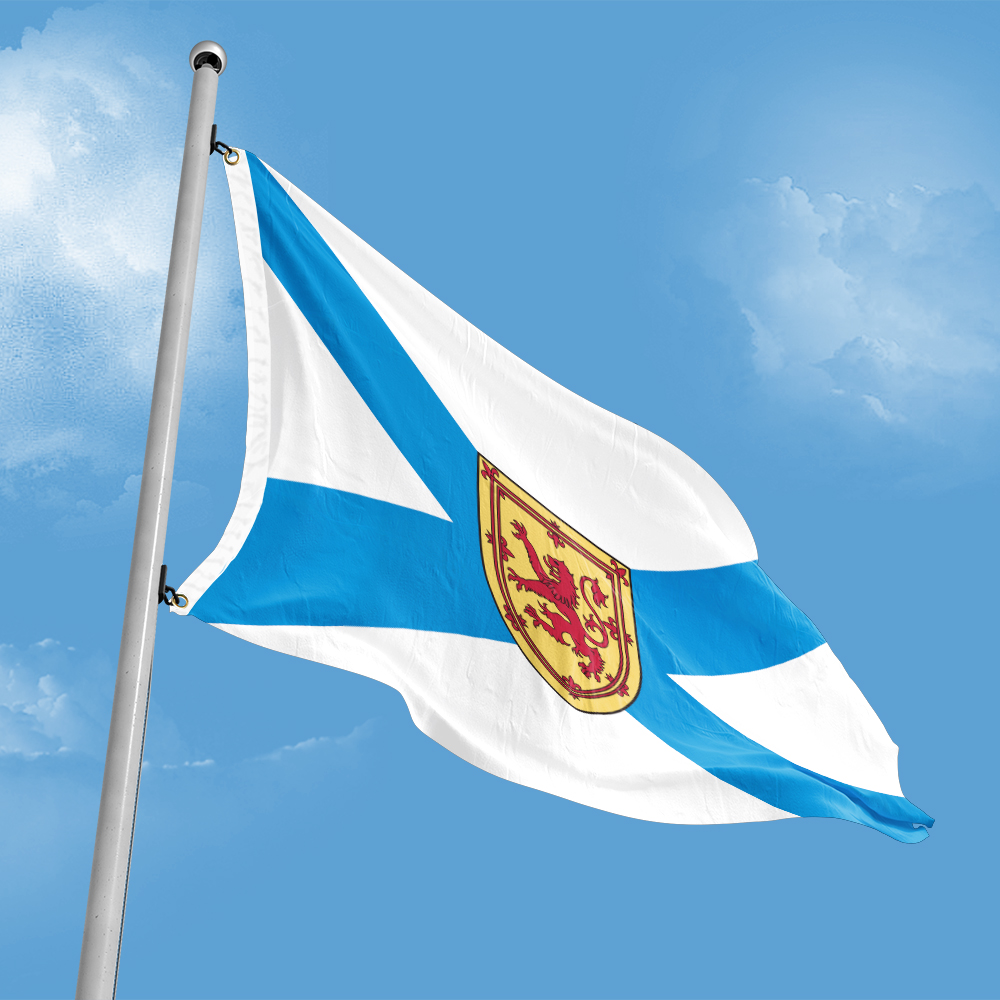 Canada Flag of Nova Scotia 3ft - огляд і ціна Nova Decor & Lighting Julestjerne