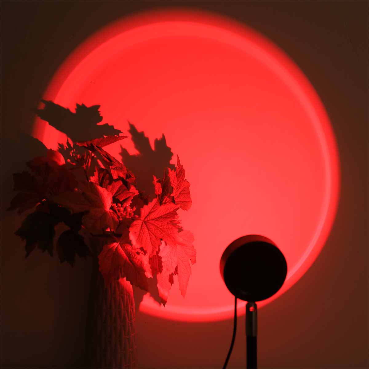 Sunset Projection Light Remote - огляд і ціна Sunset Lamp Projection