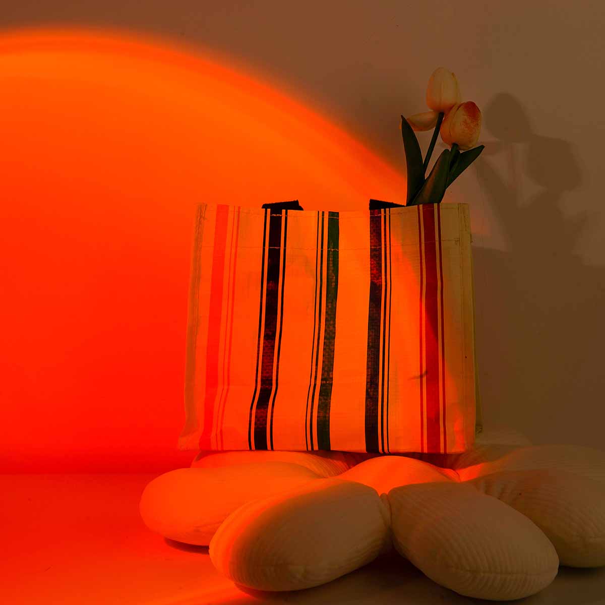 Sunset Projection Light Remote - огляд і ціна Sunset Lamp Projection